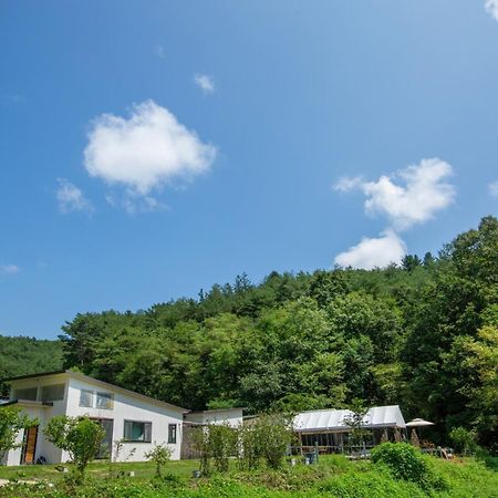 Andong Happy Pet World Pension Exterior photo