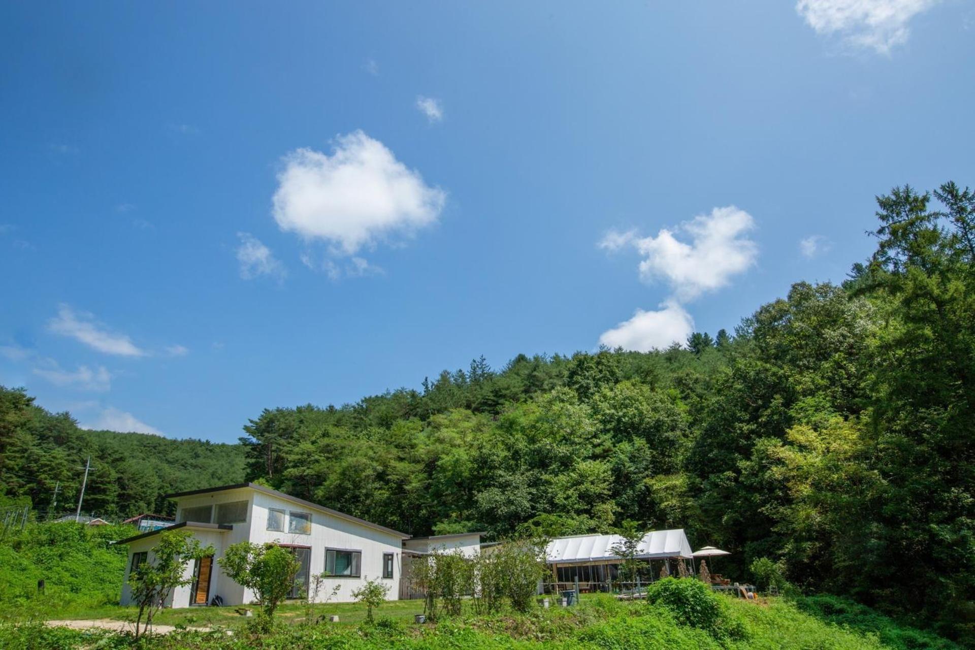 Andong Happy Pet World Pension Exterior photo